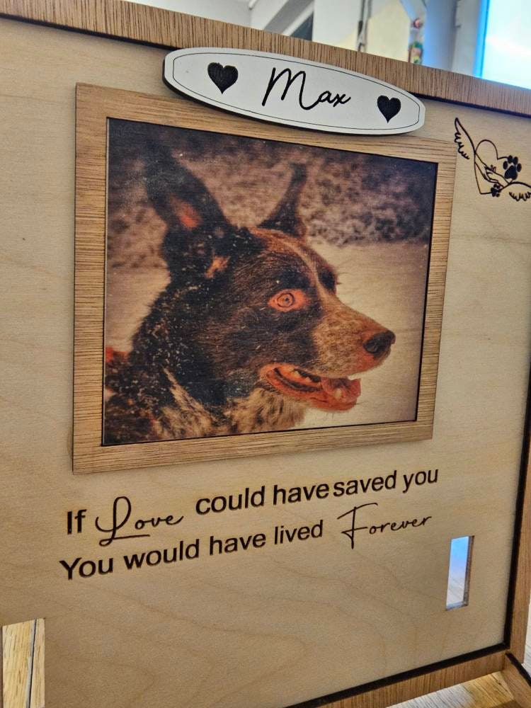 Personalised picture pet memorial,collar frame memorial,Personalised gift, in loving memory, pet memorial.