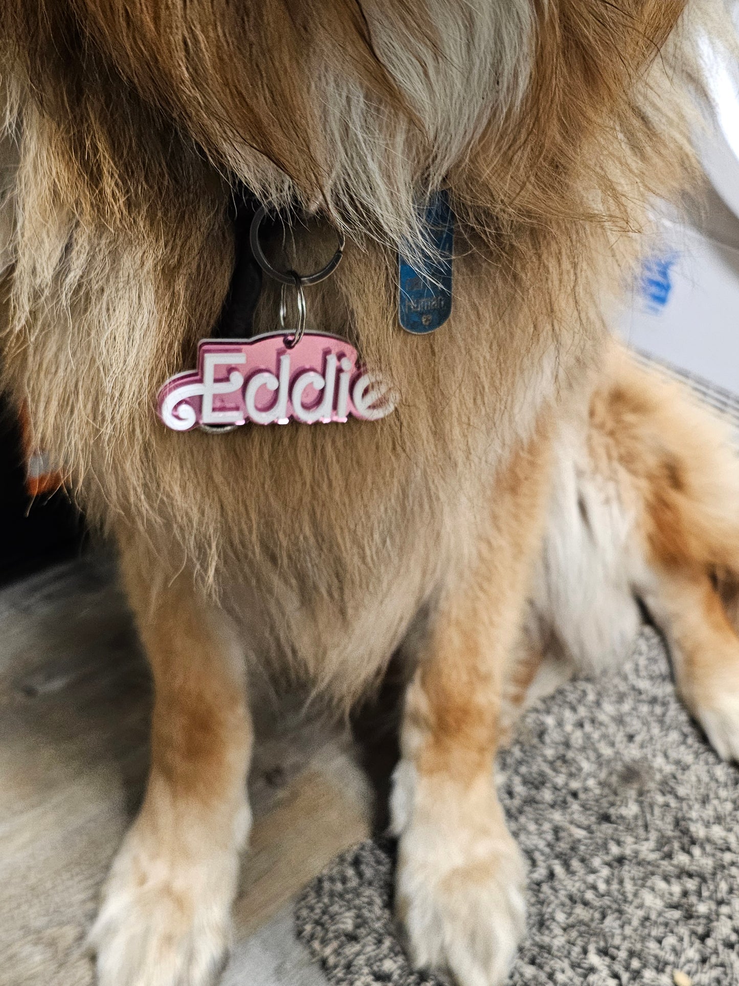 Personalised doll inspired keyring, pet tag