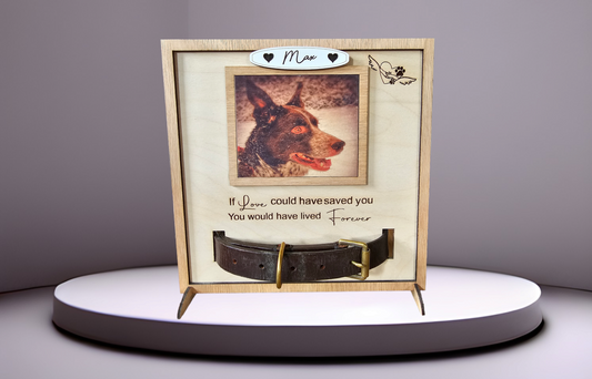 Memorial dog collar frame