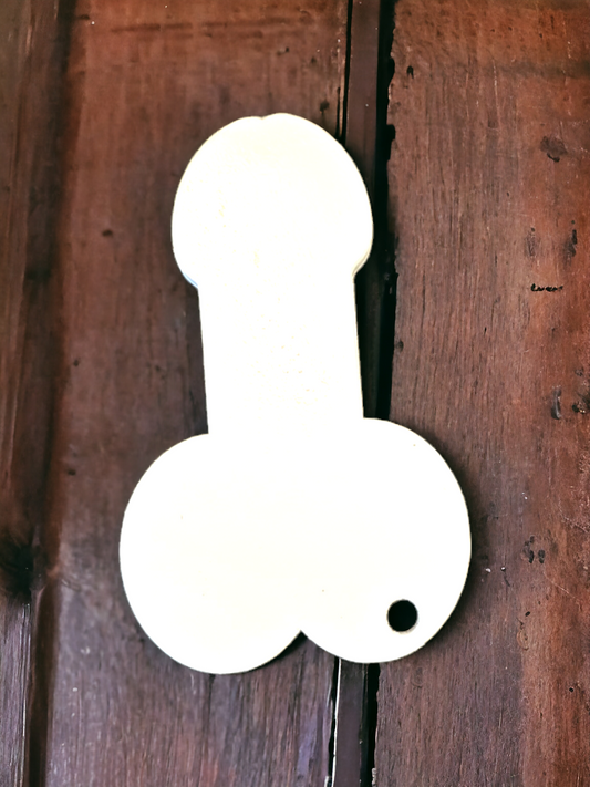 Acrylic willie trolly token blank pack of 10