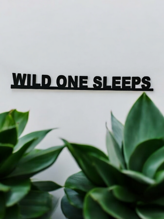 Wild One Sleeps, door topper, over door sign, wall plaque