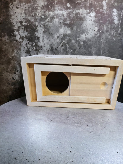 Personalised wooden money box, safari theme, wooden money box, personalised gift