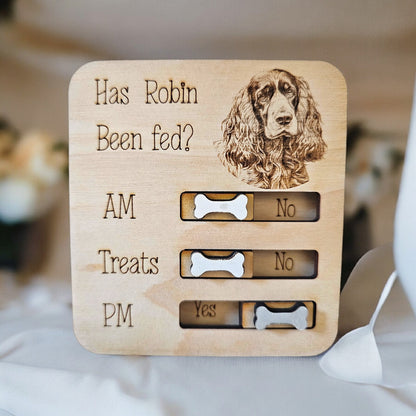 Petsonalised pet food tracker magnet, cat feeder reminder, has the cat been fed, personalised gift, fridge magnet, pet gift.
