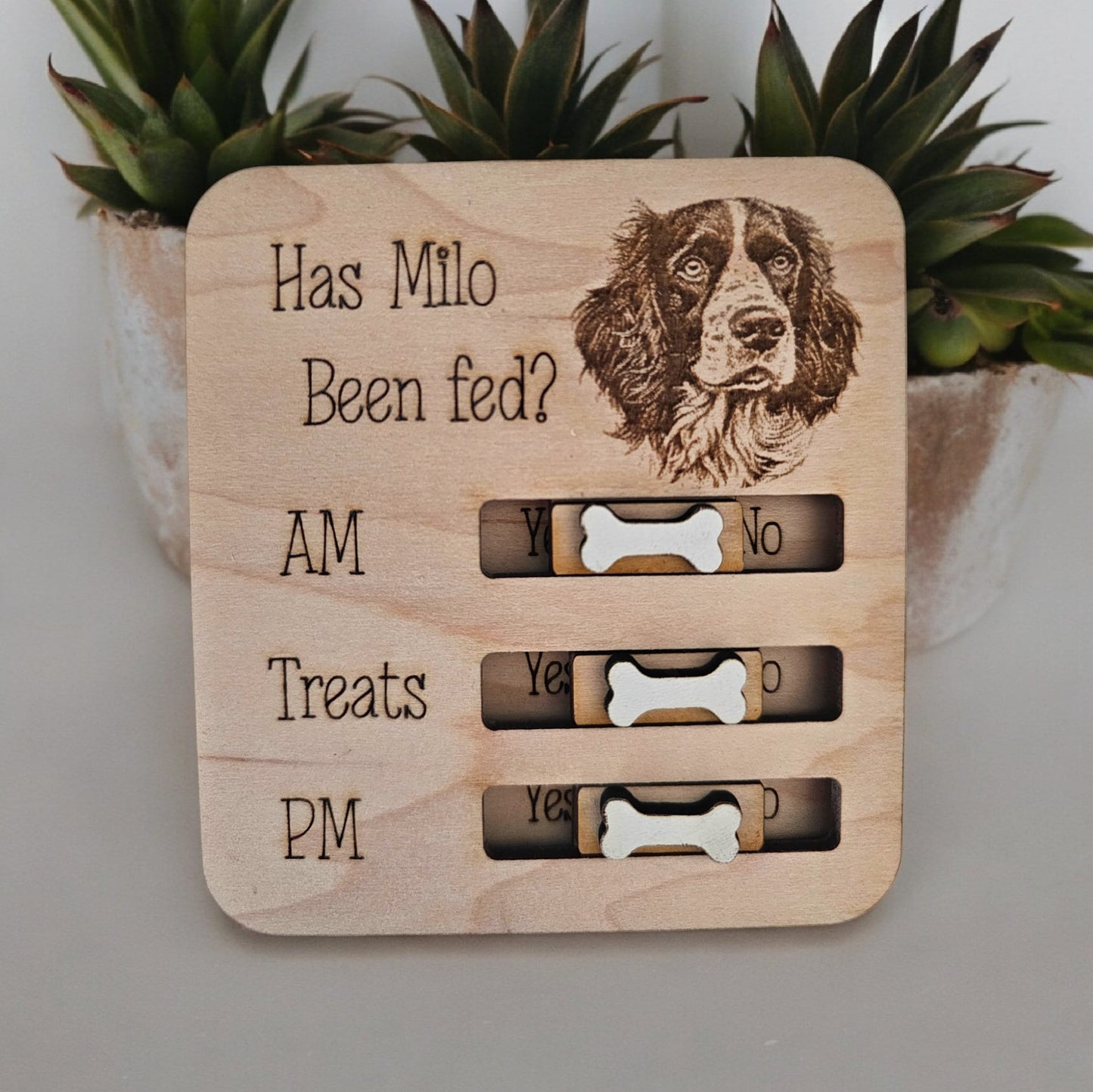 Petsonalised pet food tracker magnet, cat feeder reminder, has the cat been fed, personalised gift, fridge magnet, pet gift.