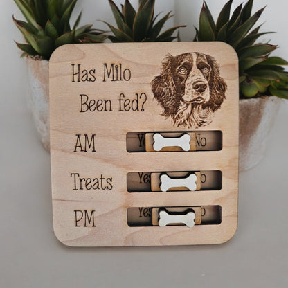 Petsonalised pet food tracker magnet, cat feeder reminder, has the cat been fed, personalised gift, fridge magnet, pet gift.