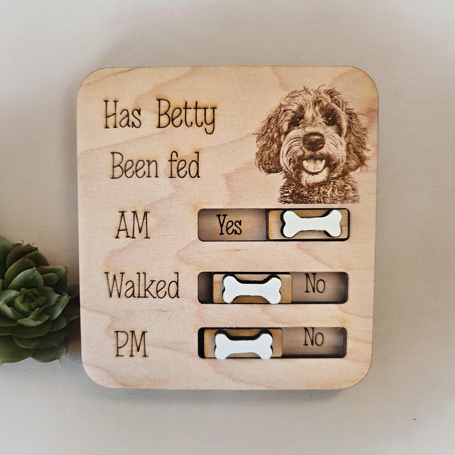 Petsonalised pet food tracker magnet, cat feeder reminder, has the cat been fed, personalised gift, fridge magnet, pet gift.