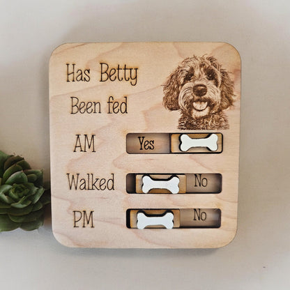 Petsonalised pet food tracker magnet, cat feeder reminder, has the cat been fed, personalised gift, fridge magnet, pet gift.