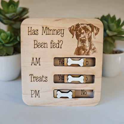 Petsonalised pet food tracker magnet, cat feeder reminder, has the cat been fed, personalised gift, fridge magnet, pet gift.